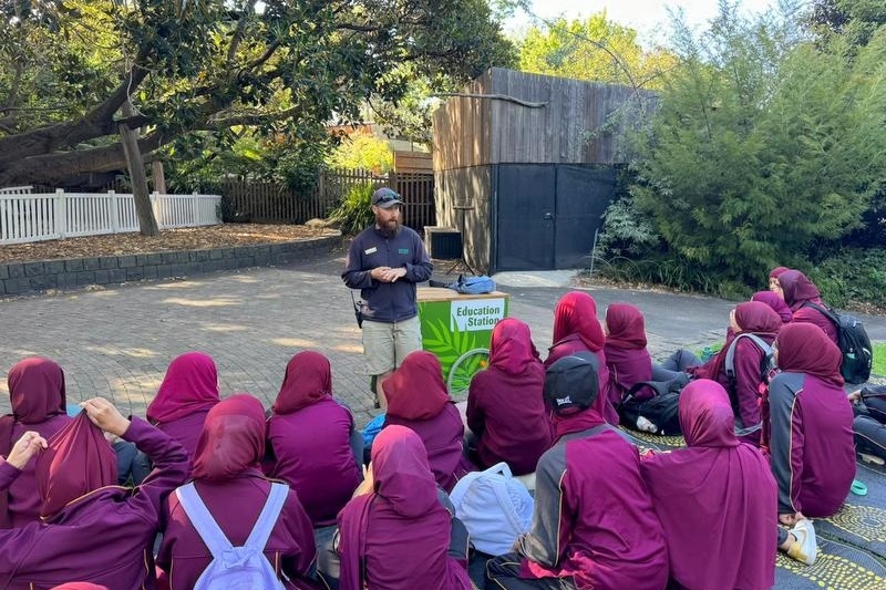 Year 5 Excursion to Melbourne Zoo